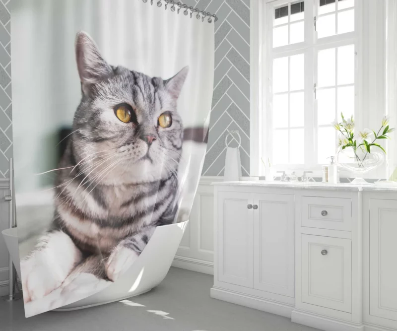 Close-Up Elegance Cat Enigmatic Stare Shower Curtain 1