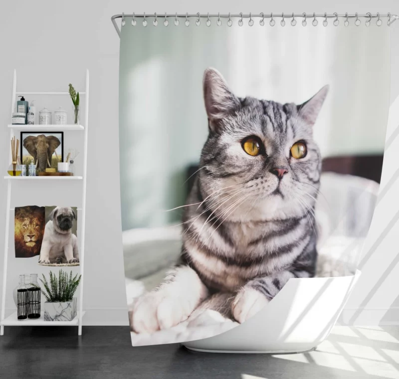 Close-Up Elegance Cat Enigmatic Stare Shower Curtain