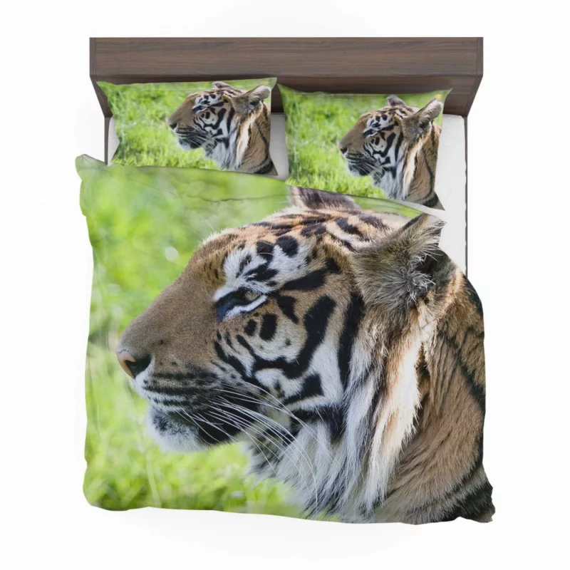 Close-Up Tiger Intensity Captivating Gaze Bedding Set 1