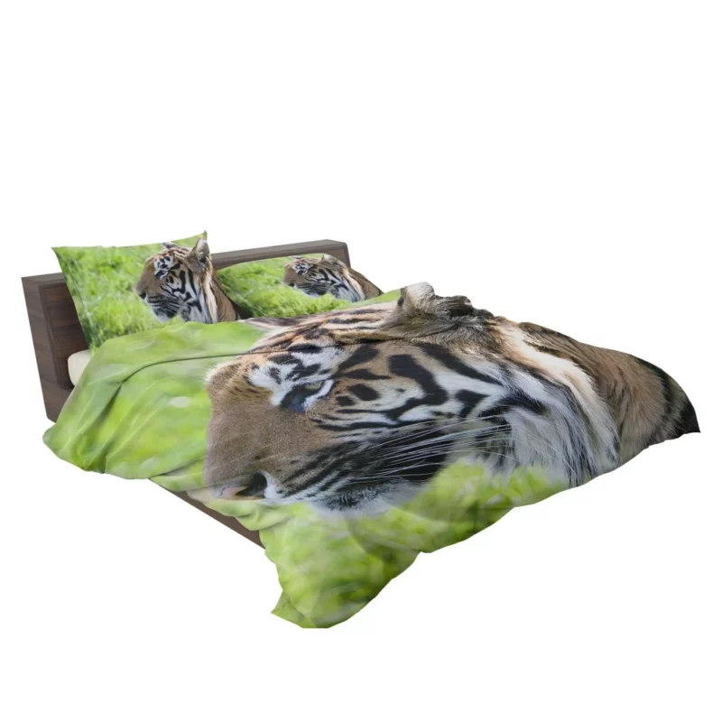 Close-Up Tiger Intensity Captivating Gaze Bedding Set 2