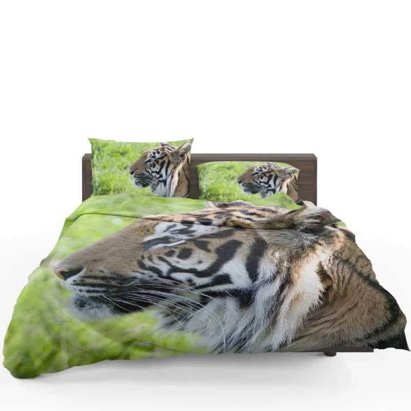 Close-Up Tiger Intensity Captivating Gaze Bedding Set