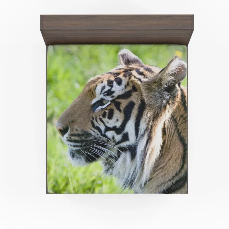 Close-Up Tiger Intensity Captivating Gaze Fitted Sheet 1