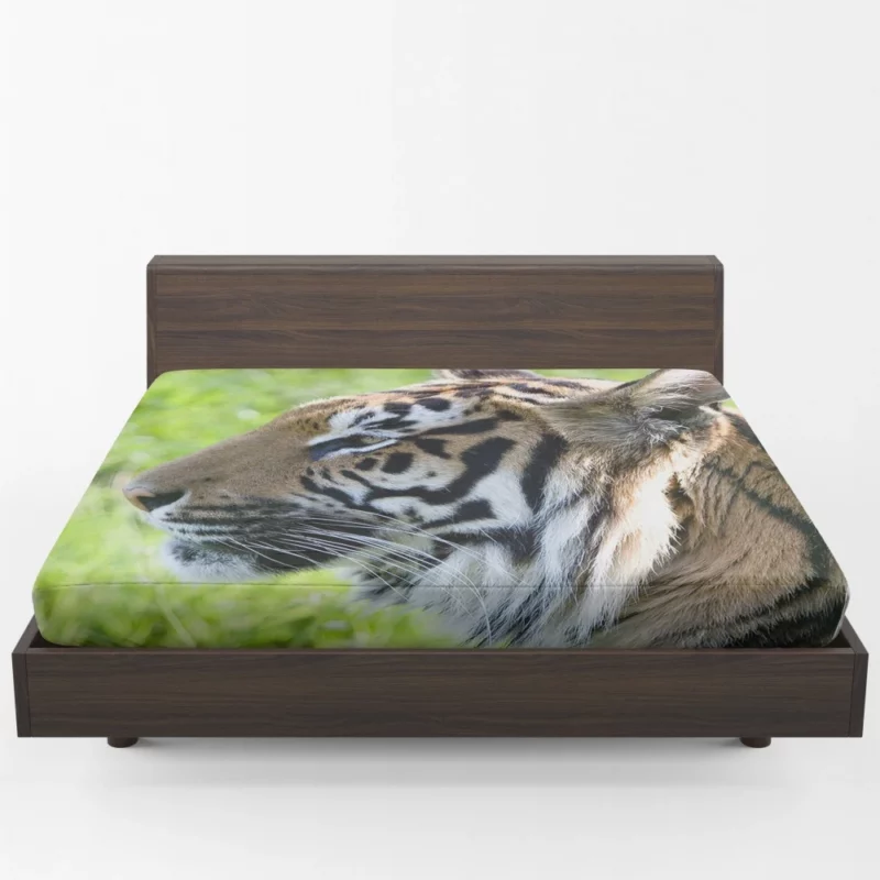 Close-Up Tiger Intensity Captivating Gaze Fitted Sheet