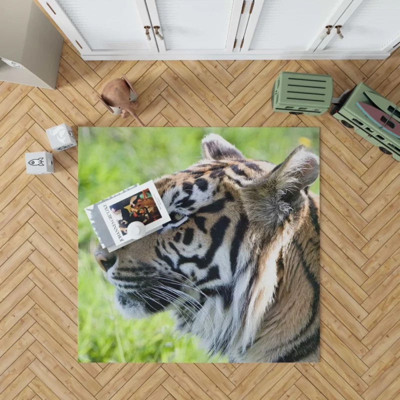 Close-Up Tiger Intensity Captivating Gaze Rug