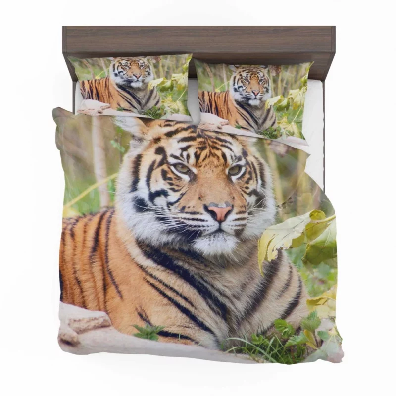 Closeup of the Magnificent Sumatran Tiger Bedding Set 1