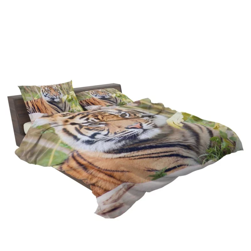 Closeup of the Magnificent Sumatran Tiger Bedding Set 2