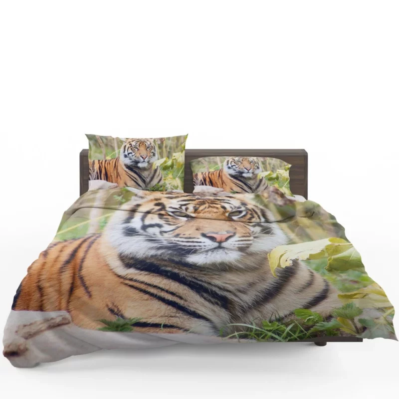 Closeup of the Magnificent Sumatran Tiger Bedding Set