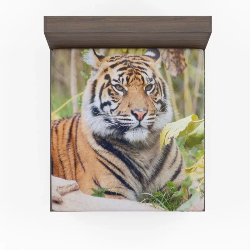 Closeup of the Magnificent Sumatran Tiger Fitted Sheet 1