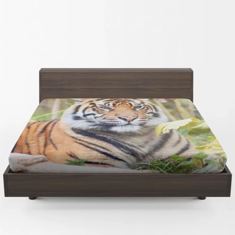 Closeup of the Magnificent Sumatran Tiger Fitted Sheet