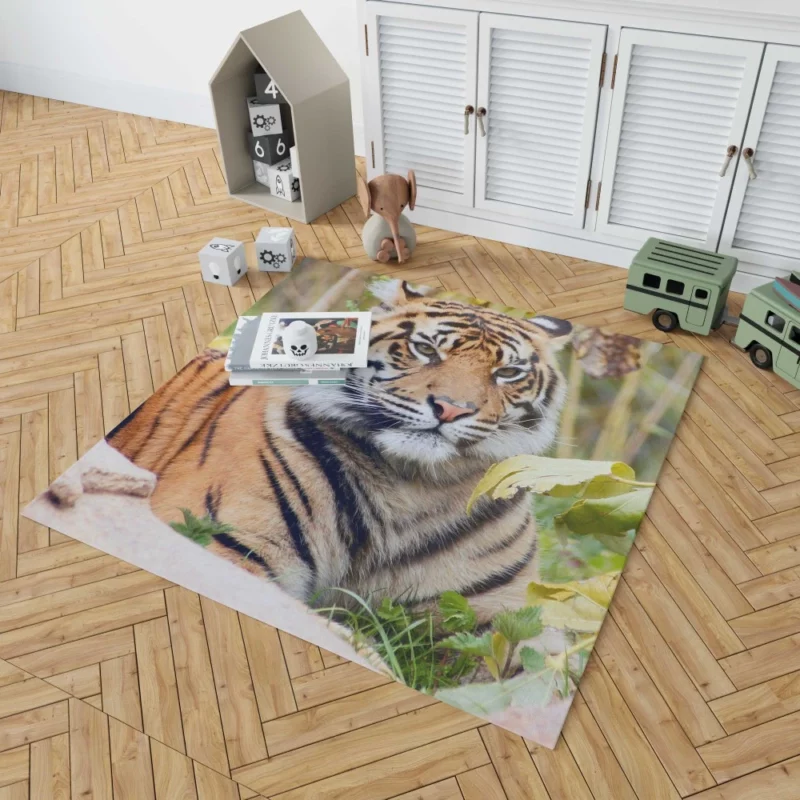 Closeup of the Magnificent Sumatran Tiger Rug 1