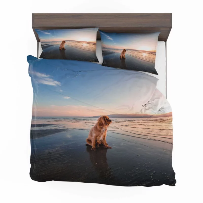 Cocker Spaniel Beach Play Furry Adventure Bedding Set 1