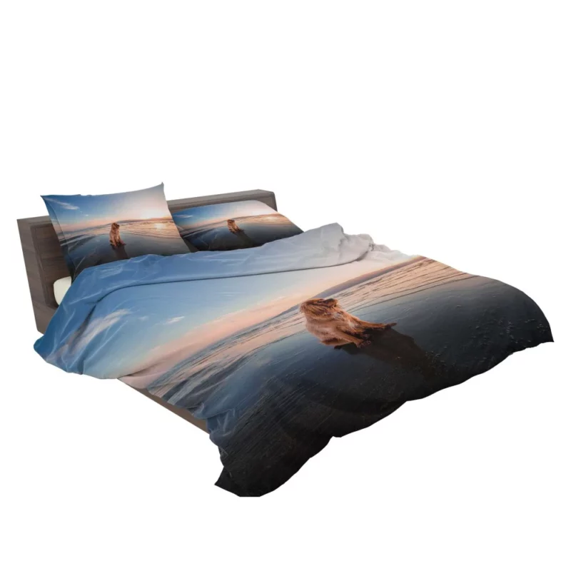 Cocker Spaniel Beach Play Furry Adventure Bedding Set 2