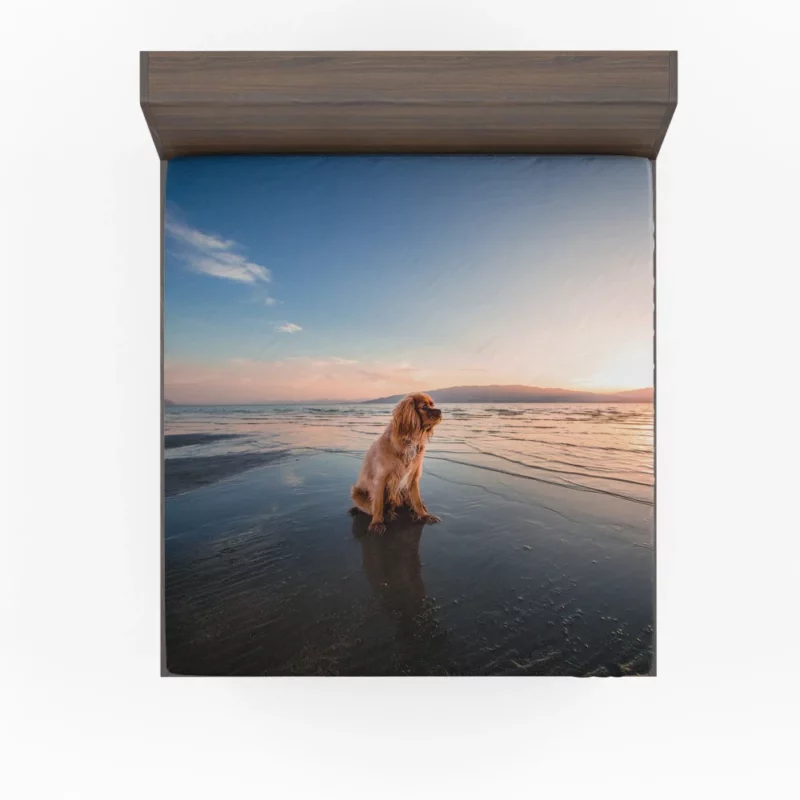 Cocker Spaniel Beach Play Furry Adventure Fitted Sheet 1