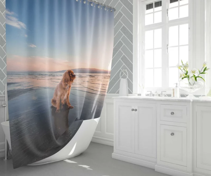 Cocker Spaniel Beach Play Furry Adventure Shower Curtain 1