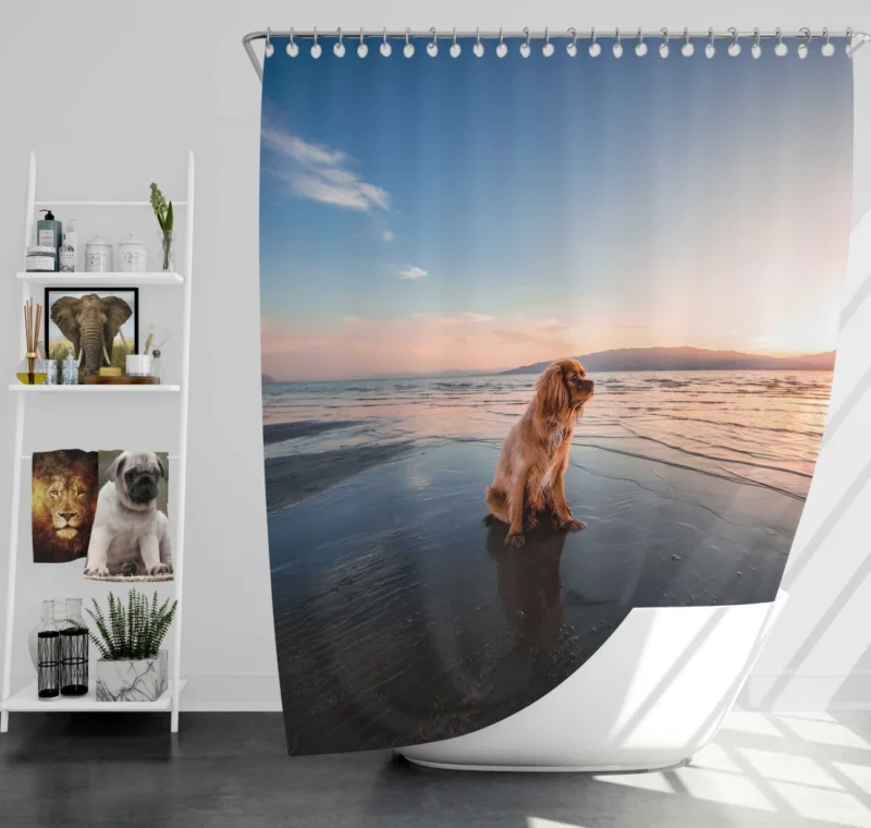 Cocker Spaniel Beach Play Furry Adventure Shower Curtain