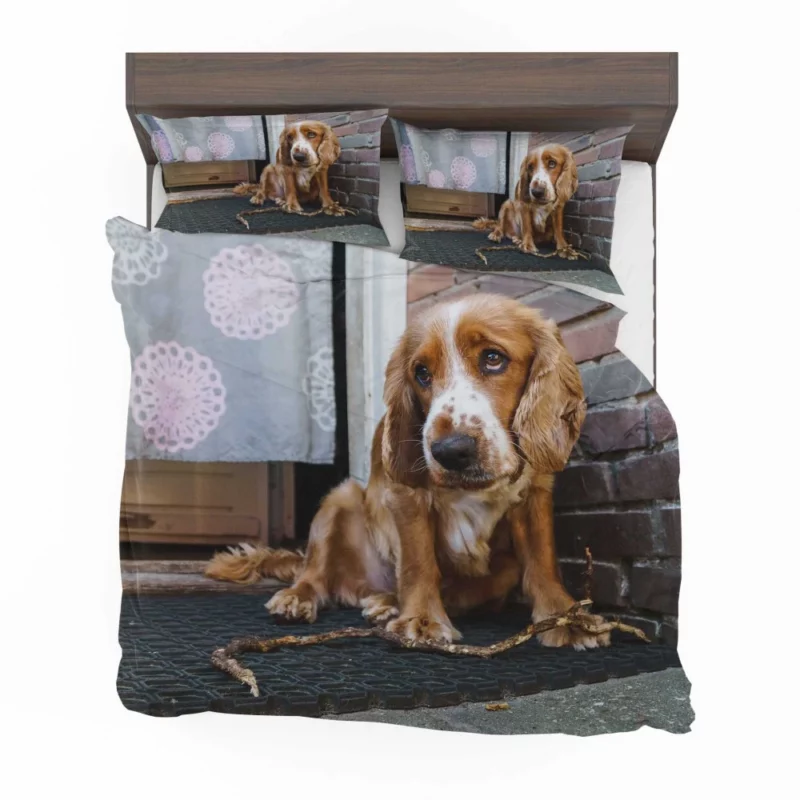 Cocker Spaniel Captivating Muzzle Canine Charm Bedding Set 1