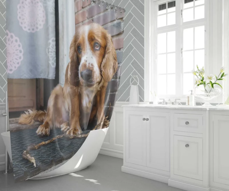 Cocker Spaniel Captivating Muzzle Canine Charm Shower Curtain 1