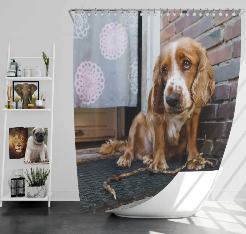 Cocker Spaniel Captivating Muzzle Canine Charm Shower Curtain