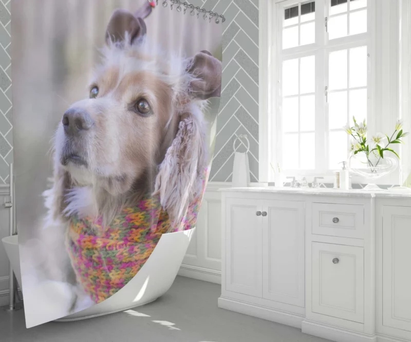 Cocker Spaniel Furry Bokeh Stance Shower Curtain 1