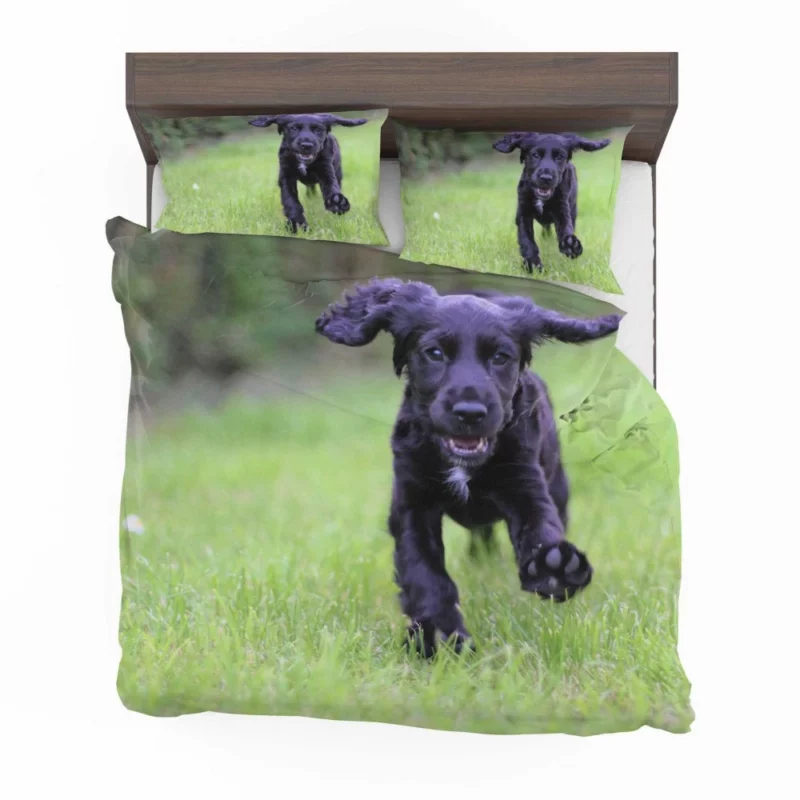 Cocker Spaniel Grass Romp Playful Puppy Bedding Set 1