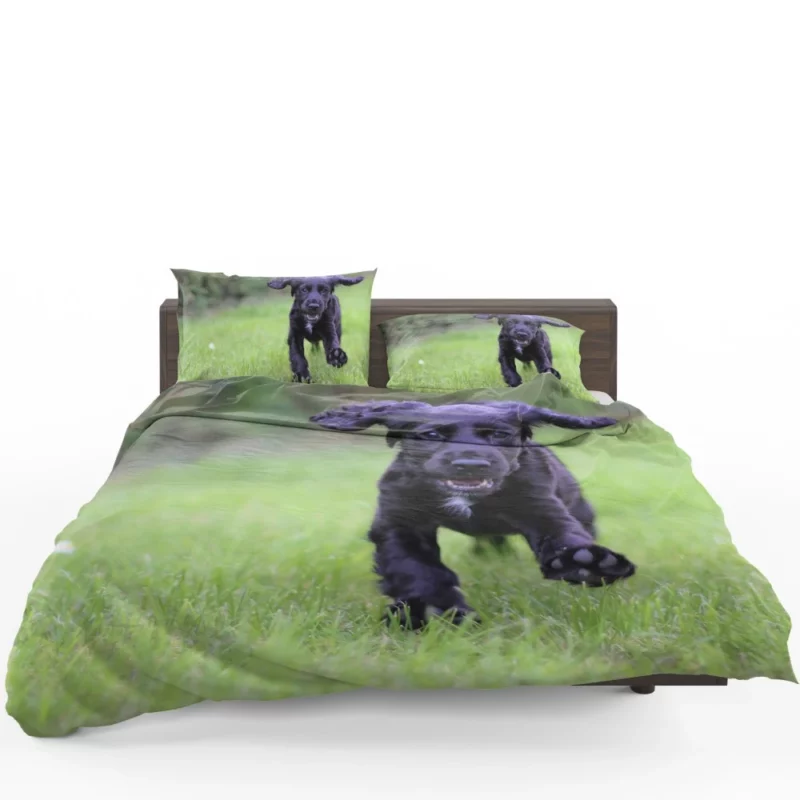 Cocker Spaniel Grass Romp Playful Puppy Bedding Set