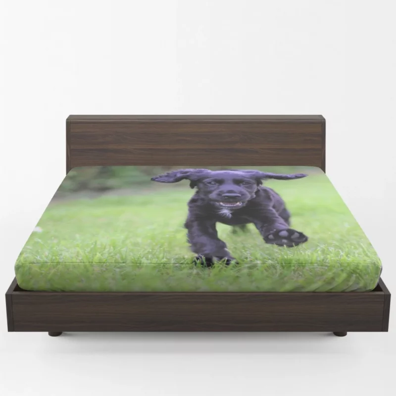 Cocker Spaniel Grass Romp Playful Puppy Fitted Sheet