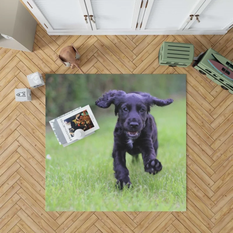 Cocker Spaniel Grass Romp Playful Puppy Rug