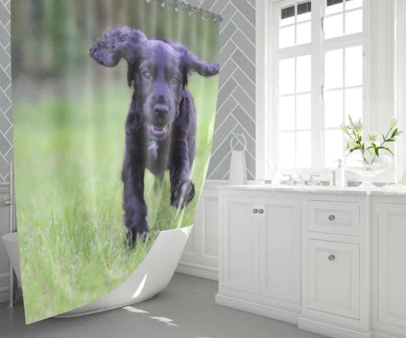 Cocker Spaniel Grass Romp Playful Puppy Shower Curtain 1