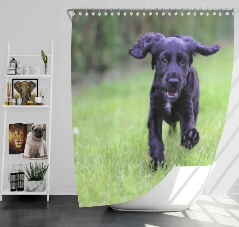 Cocker Spaniel Grass Romp Playful Puppy Shower Curtain