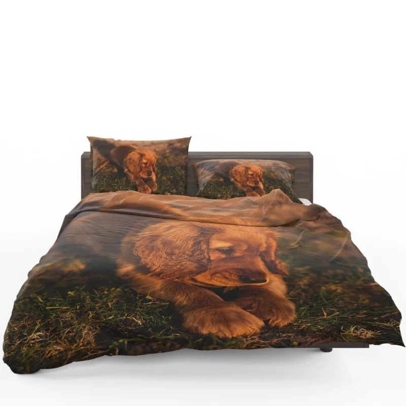 Cocker Spaniel Pup Innocent Charm Bedding Set