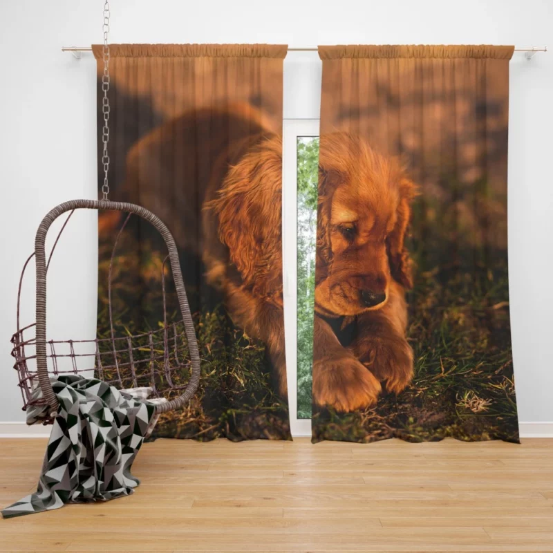 Cocker Spaniel Pup Innocent Charm Curtain