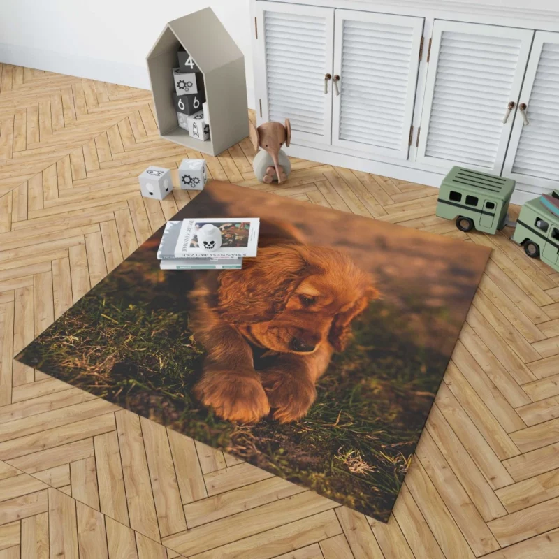 Cocker Spaniel Pup Innocent Charm Rug 1