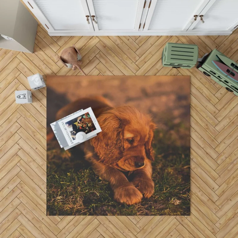 Cocker Spaniel Pup Innocent Charm Rug