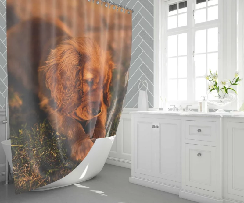 Cocker Spaniel Pup Innocent Charm Shower Curtain 1