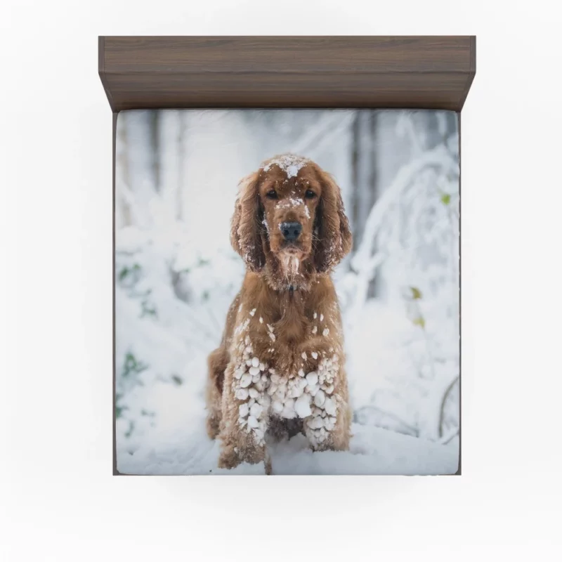 Cocker Spaniel Snowball Play Fitted Sheet 1