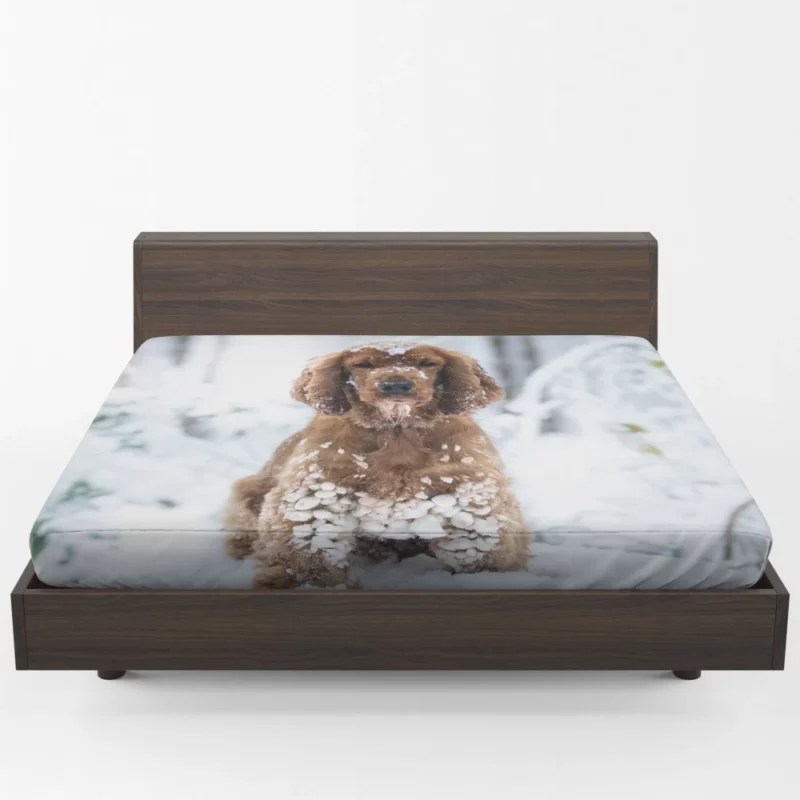 Cocker Spaniel Snowball Play Fitted Sheet