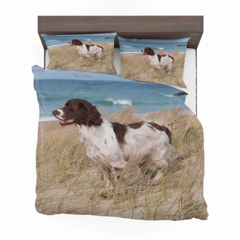 Cocker Spaniel on Sand Beach Beauty Bedding Set 1