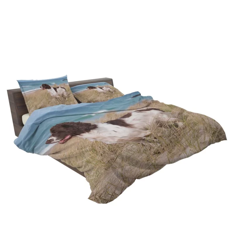 Cocker Spaniel on Sand Beach Beauty Bedding Set 2