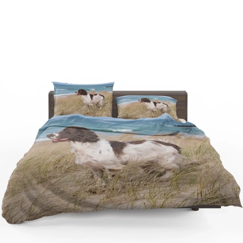 Cocker Spaniel on Sand Beach Beauty Bedding Set