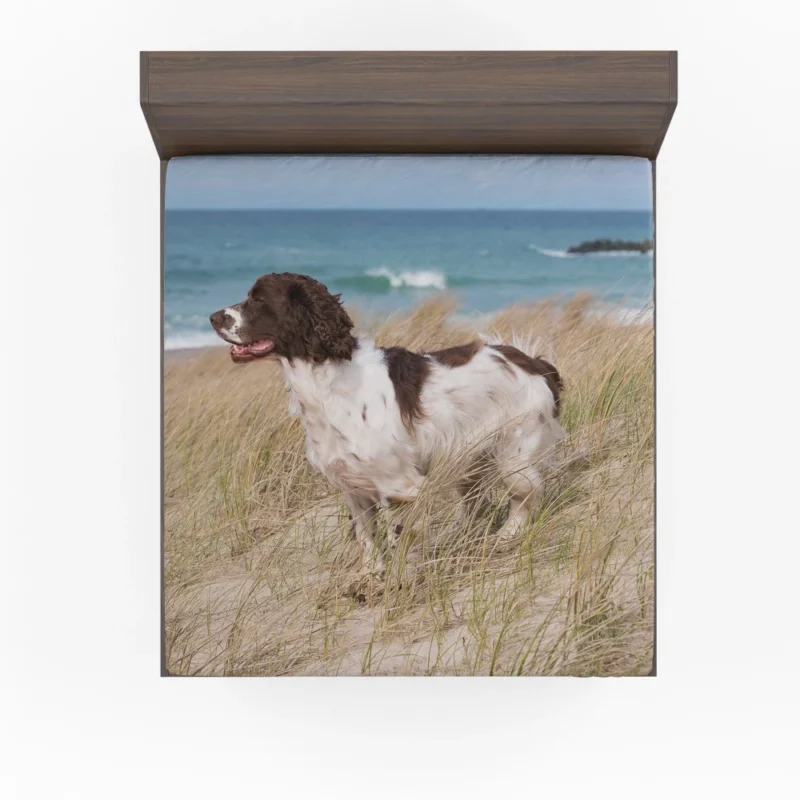 Cocker Spaniel on Sand Beach Beauty Fitted Sheet 1