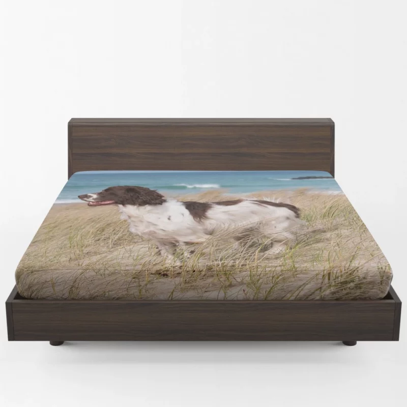 Cocker Spaniel on Sand Beach Beauty Fitted Sheet