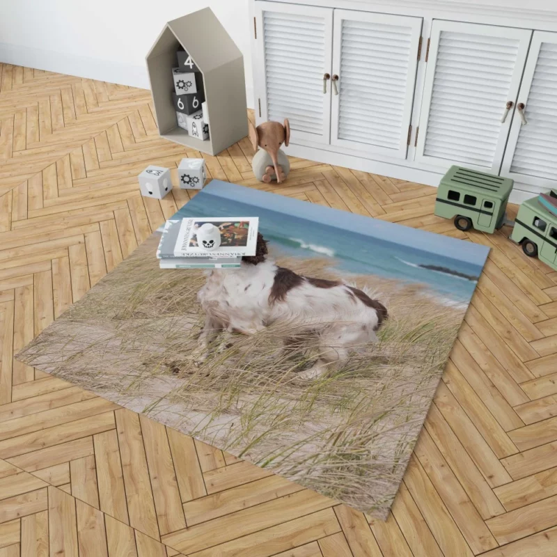 Cocker Spaniel on Sand Beach Beauty Rug 1