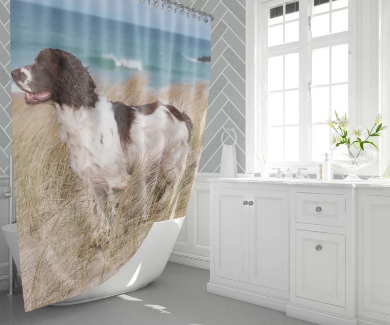 Cocker Spaniel on Sand Beach Beauty Shower Curtain 1