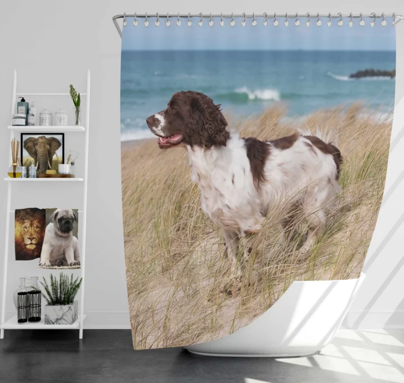 Cocker Spaniel on Sand Beach Beauty Shower Curtain