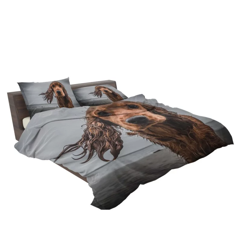 Cocker Spaniel on Sandy Beach Furry Play Bedding Set 2