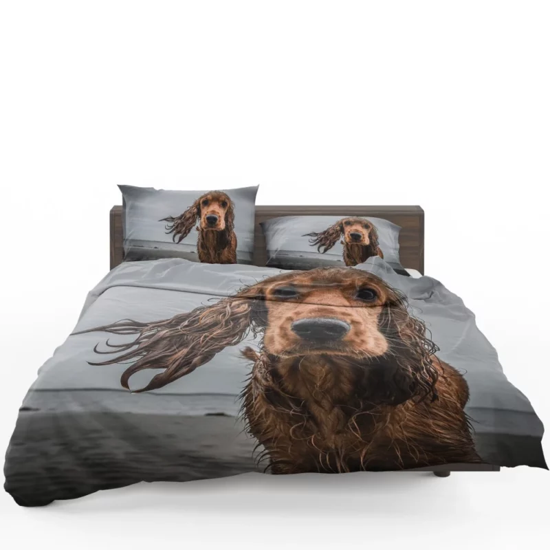 Cocker Spaniel on Sandy Beach Furry Play Bedding Set