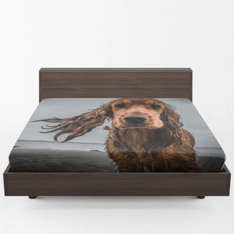 Cocker Spaniel on Sandy Beach Furry Play Fitted Sheet