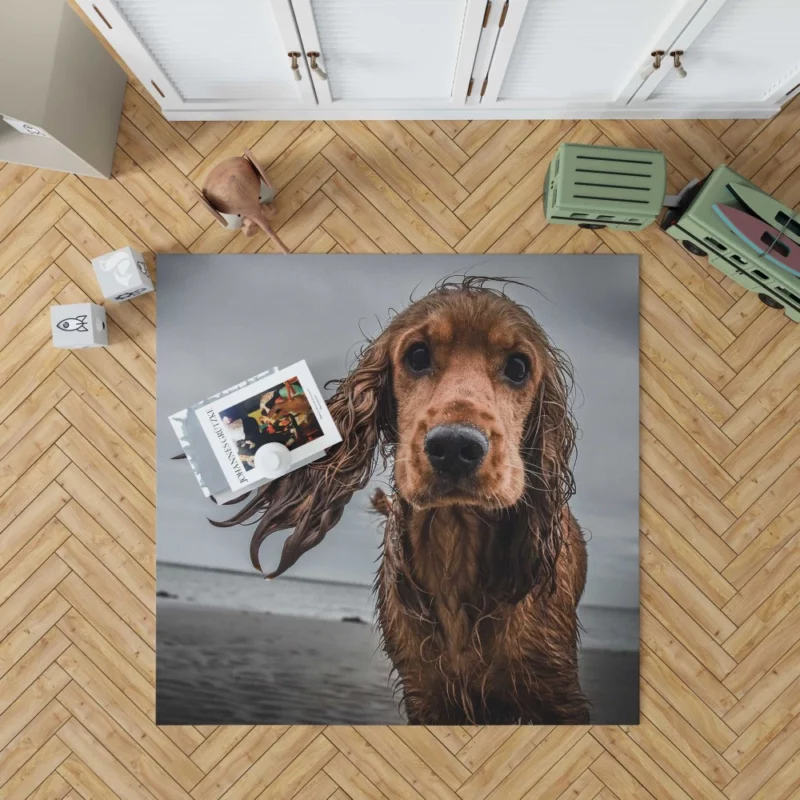 Cocker Spaniel on Sandy Beach Furry Play Rug