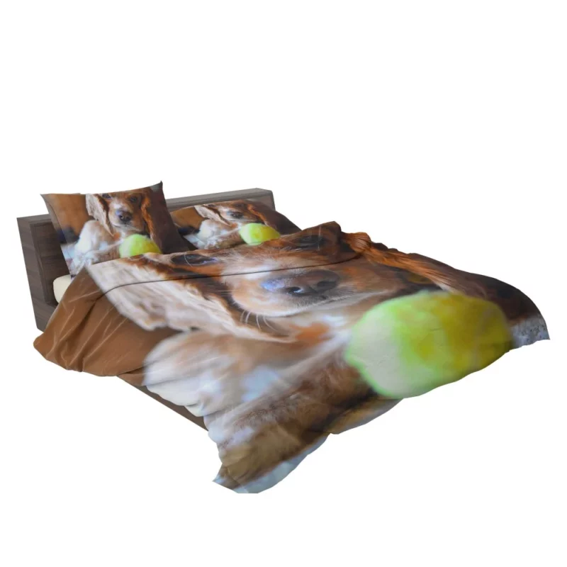 Cocker Spaniel with Tennis Ball Furry Play Bedding Set 2