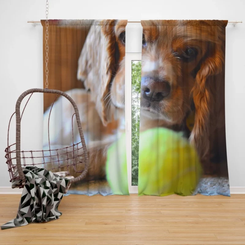 Cocker Spaniel with Tennis Ball Furry Play Curtain